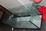 [TodoMarino.com] nuevos en marino y con muchas ganas de compartirlo
