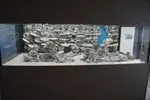 [TodoMarino.com] nuevos en marino y con muchas ganas de compartirlo