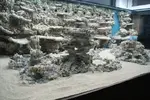 [TodoMarino.com] nuevos en marino y con muchas ganas de compartirlo
