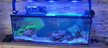 [TodoMarino.com] Desmonte acuario - Valdemoro - Madrid