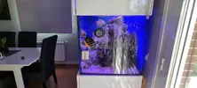 [TodoMarino.com] Venta de Acuario - Colmenar Viejo