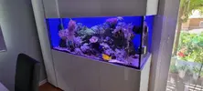 [TodoMarino.com] Venta de Acuario - Colmenar Viejo