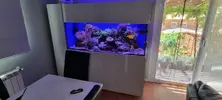 [TodoMarino.com] Venta de Acuario - Colmenar Viejo