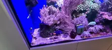 [TodoMarino.com] Venta de Acuario - Colmenar Viejo
