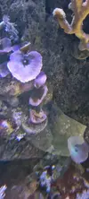 [TodoMarino.com] Venta de Acuario - Colmenar Viejo