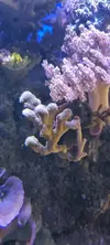 [TodoMarino.com] Venta de Acuario - Colmenar Viejo