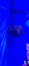 [TodoMarino.com] Venta de Acuario - Colmenar Viejo