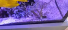 [TodoMarino.com] Venta de Acuario - Colmenar Viejo