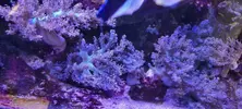 [TodoMarino.com] Venta de Acuario - Colmenar Viejo