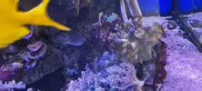 [TodoMarino.com] Venta de Acuario - Colmenar Viejo