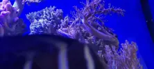 [TodoMarino.com] Venta de Acuario - Colmenar Viejo
