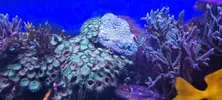 [TodoMarino.com] Venta de Acuario - Colmenar Viejo