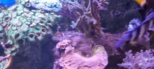 [TodoMarino.com] Venta de Acuario - Colmenar Viejo