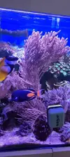 [TodoMarino.com] Venta de Acuario - Colmenar Viejo
