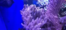 [TodoMarino.com] Venta de Acuario - Colmenar Viejo
