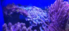 [TodoMarino.com] Venta de Acuario - Colmenar Viejo
