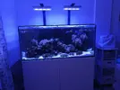[TodoMarino.com] Acuario red sea 350