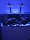 [TodoMarino.com] Acuario red sea 350