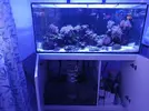 [TodoMarino.com] Acuario red sea 350