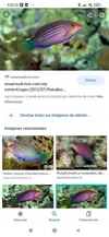 [TodoMarino.com] Vendo peces