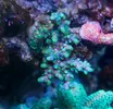 [TodoMarino.com] metodo organico