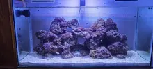 [TodoMarino.com] Foto de mi acuario.