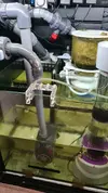 [TodoMarino.com] Problema falta flujo subida, Aquascape, refugio..... sugerencias en mejoras