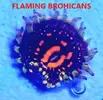 [TodoMarino.com] Zoanthus TOP Flaming Brohican.
