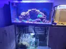 [TodoMarino.com] Acuario con rebosadero bean animal 70€