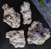 [TodoMarino.com] 5kg de roca muerta indonesia