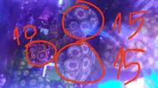[TodoMarino.com] Desmonte. Empiezo por los zoanthus, seguiré por peces e invertebrados y terminaré con el equipo y material