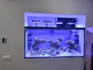 [TodoMarino.com] Nuevo por estas aguas 580l + sump