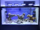[TodoMarino.com] Nuevo por estas aguas 580l + sump