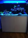 [TodoMarino.com] Acuario RedSea reefer 350 litros. Pamplona