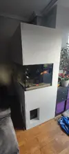 [TodoMarino.com] Acuario Marino