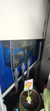 [TodoMarino.com] Acuario Marino