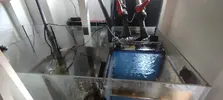 [TodoMarino.com] Acuario Marino