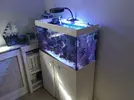 [TodoMarino.com] Acuario marino 120l.