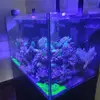 [TodoMarino.com] RedSea Reef 250 + Sump