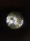 [TodoMarino.com] AYUDA POSIBLE DINOFLAGELADOS