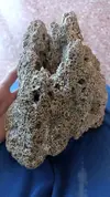 [TodoMarino.com] Filtracion biologica marino