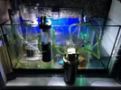 [TodoMarino.com] **VENDIDO** SUMP 100X50X30cm