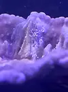 [TodoMarino.com] CandyMoon Reef