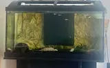 [TodoMarino.com] Cambiar bomba y filtros de espona por filtro interior