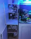 [TodoMarino.com] Venta de acuario completo 450L + 200L SUMP. TODO LO NECESARIO Y MUCHO MAS