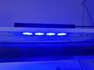 [TodoMarino.com] Venta Hydra 52