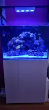 [TodoMarino.com] Vendo Acuario Completo