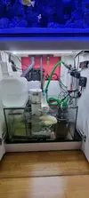 [TodoMarino.com] Vendo Acuario Completo