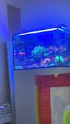 [TodoMarino.com] Acuario completo all in one 150l
