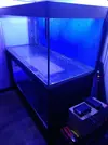 [TodoMarino.com] Acuario 504 lt Barcelona